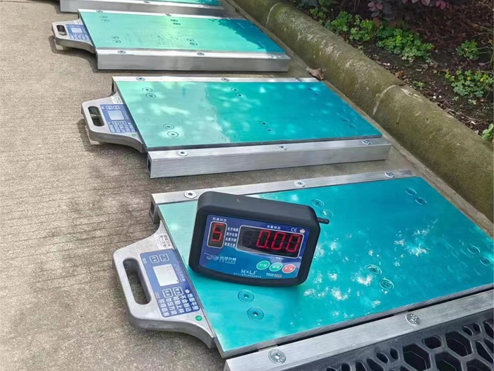 便捷式地磅